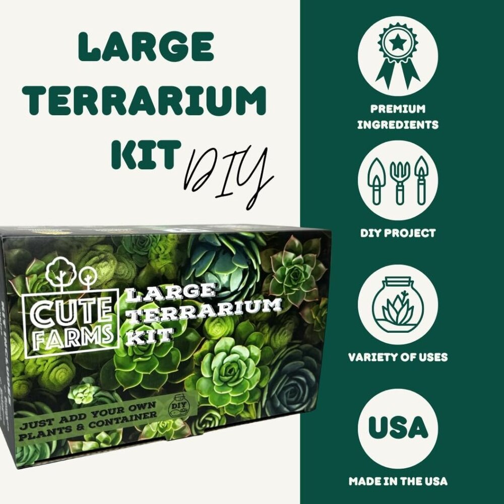 Terrarium Starter Kit | Moss, Vermiculite, Soil, Pebbles, Plant Food, Finishing - Picture 3 of 7